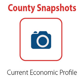 County Snapshots